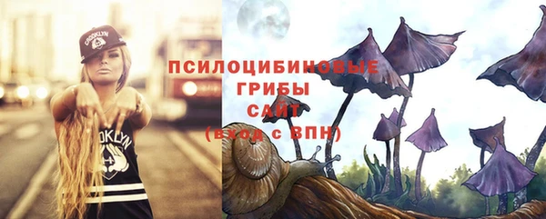 твердый Горно-Алтайск