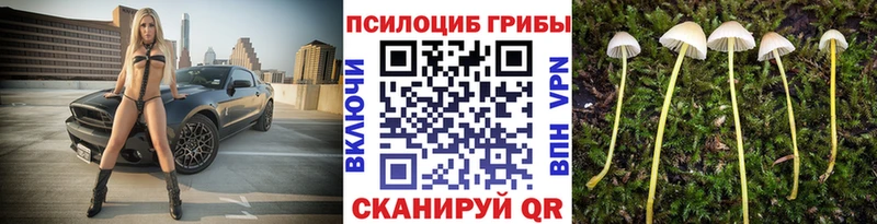Псилоцибиновые грибы прущие грибы  даркнет сайт  Краснознаменск 
