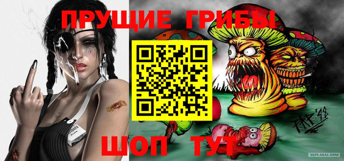 Псилоцибиновые грибы мицелий  Вход с VPN  Краснознаменск 